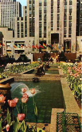 /images/imgs/america/united-states/new-york/new-york-0019.jpg - Channel Gardens Rockefeller Center