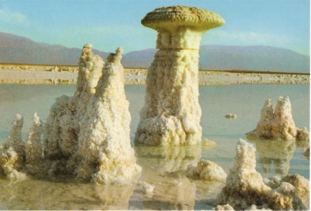 /images/imgs/asia/israel/marmorto-01.jpg - The Dead Sea