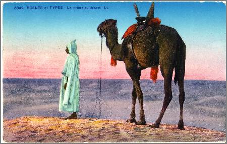 /images/imgs/africa/algeria/algeria-0005.jpg - Prayer in the Desert