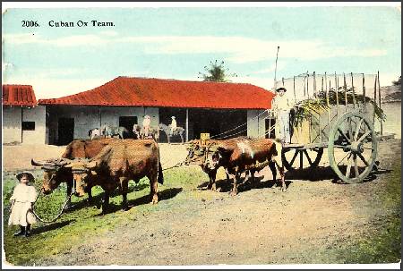 /images/imgs/america/cuba/cuba-0010.jpg - Cuban farmhouse scene