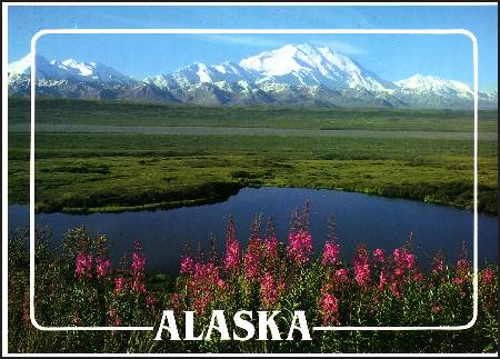 /images/imgs/america/united-states/alaska/mt-mckinley-0001.jpg - Tundra Floor on Mt. McKinley