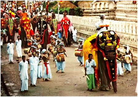 /images/imgs/asia/india/kandy-perahera-0001.jpg - Kandy Perahera Festival