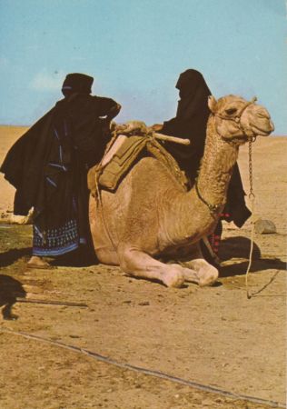 /images/imgs/asia/israel/israel-01.jpg - Women loading jugs on camel back
