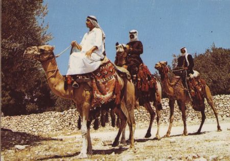 /images/imgs/asia/israel/israel-03.jpg - Bedouins on a camel immagine