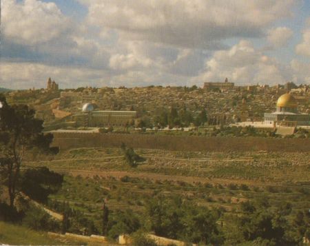 /images/imgs/asia/israel/jerusalem-20.jpg - View of the Old City